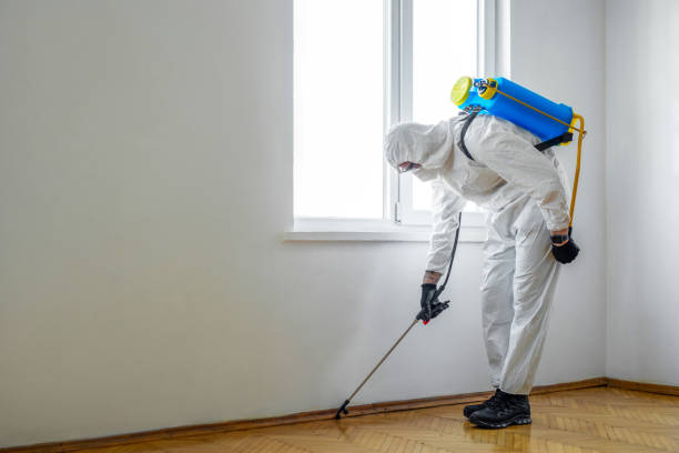 Best Cockroach Control Services  in USA